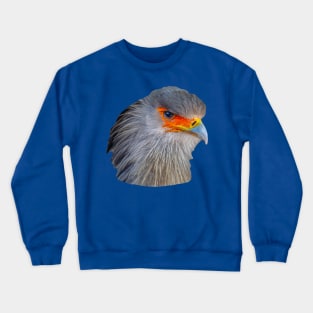 Majestic head of a Secretary Bird Crewneck Sweatshirt